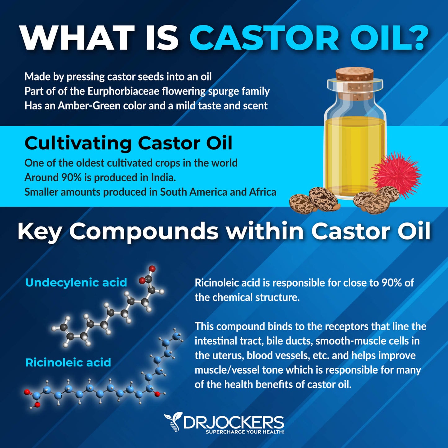 Castor Oil w/ Lavender and Frankinsense